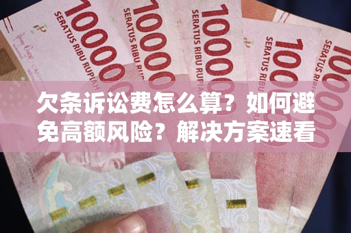 济南欠条诉讼费怎么算？如何避免高额风险？解决方案速看！