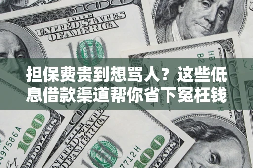 济南担保费贵到想骂人？这些低息借款渠道帮你省下冤枉钱