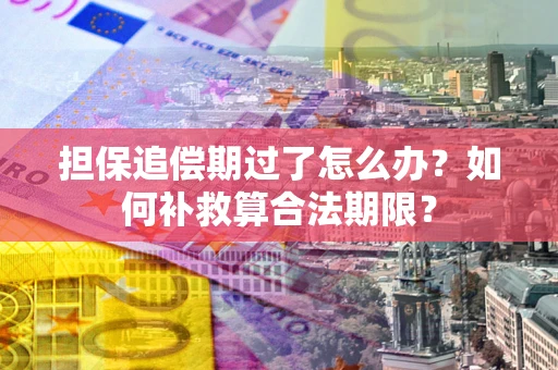 济南担保追偿期过了怎么办？如何补救算合法期限？